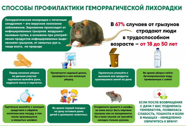 Осторожно, геморрагическая лихорадка!. Осторожно, геморрагическая лихорадка!.